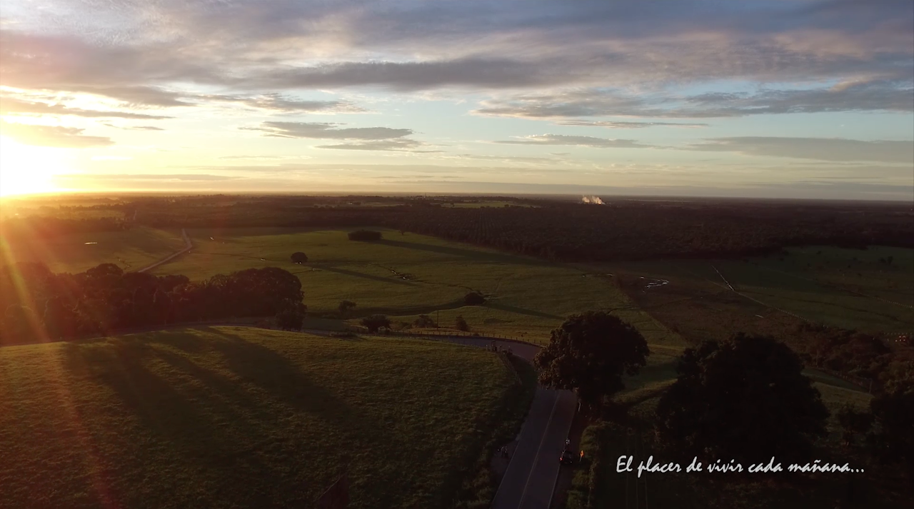 Desayunos Gourmet VIDEO- Sorpresa